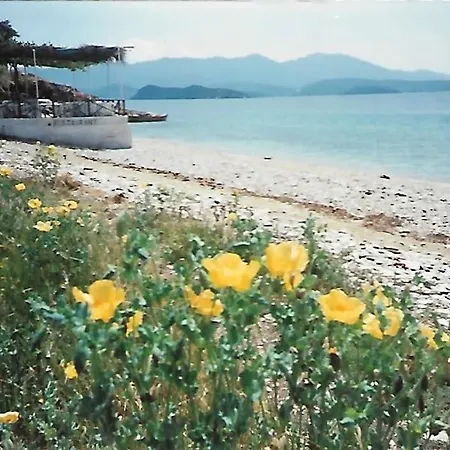 Epavli Sofia' S Two In Horto, 30m From The Sea *