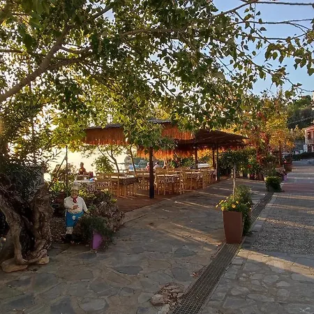 Epavli Sofia' S Two In Horto, 30m From The Sea Khórto
