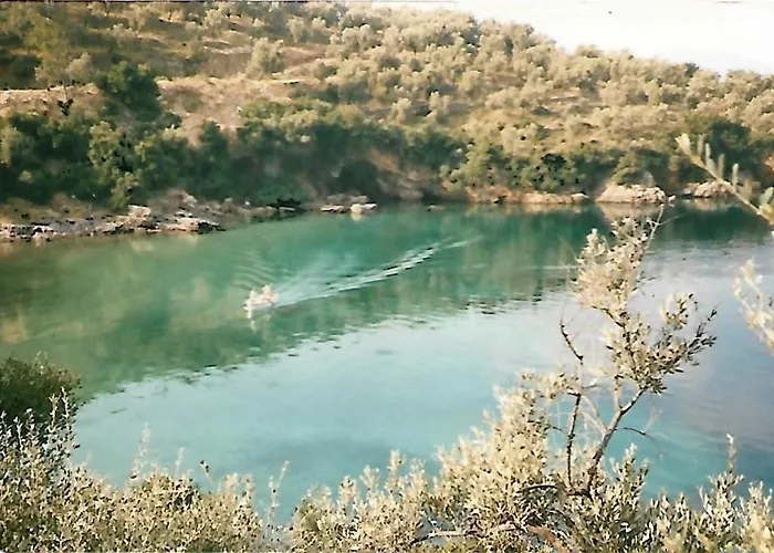 Διαμέρισμα Epavli Sofia' S Two In Horto, 30m From The Sea *